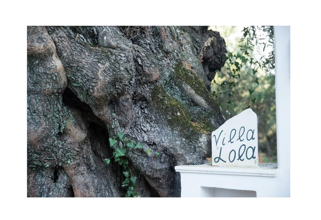 Lithakia  Villa Lola - 3 Bedrooms & Private Pool מראה חיצוני תמונה